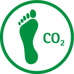 Carbon footprint.png