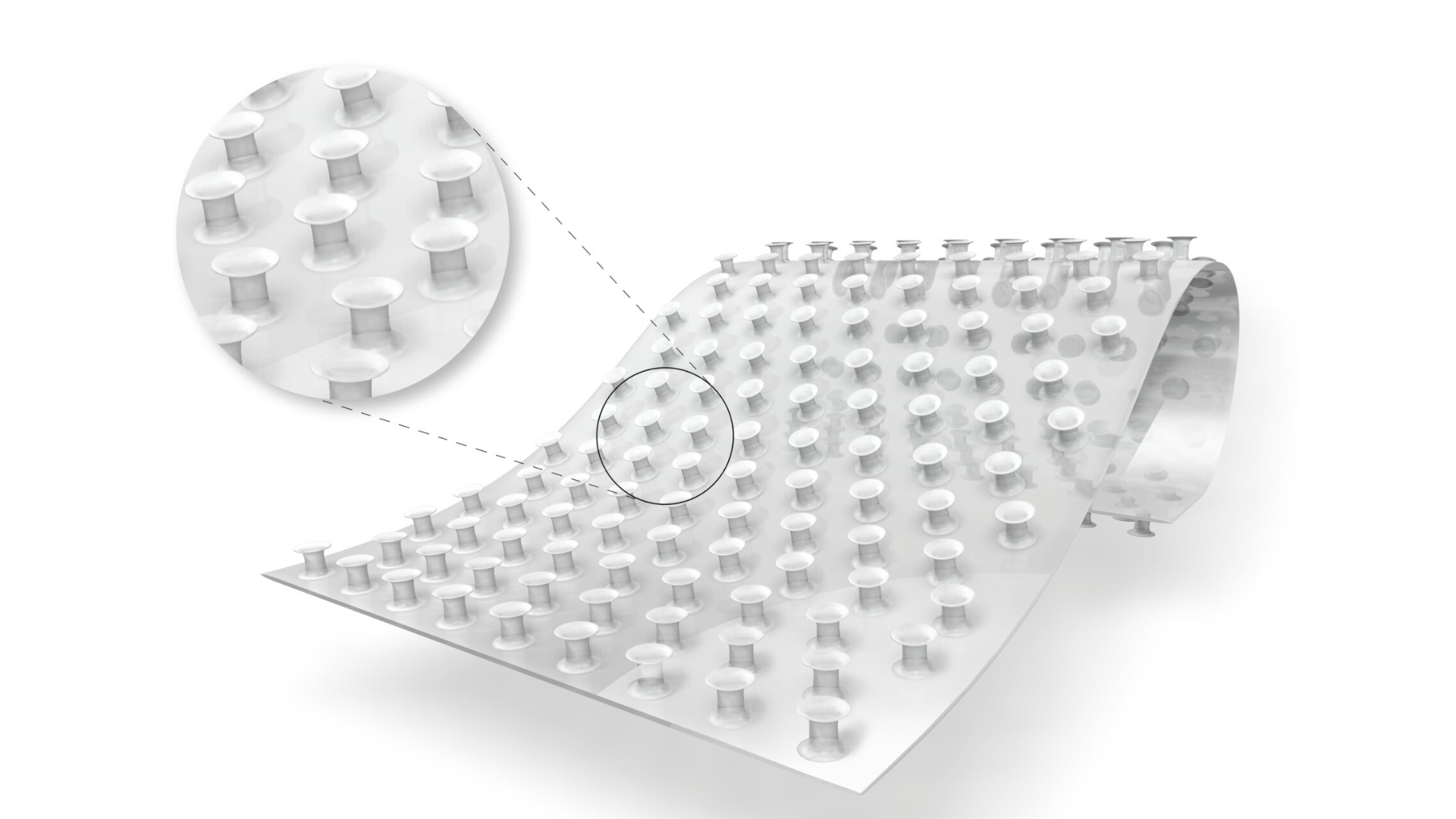 Hygiene-Hook-CloseUp