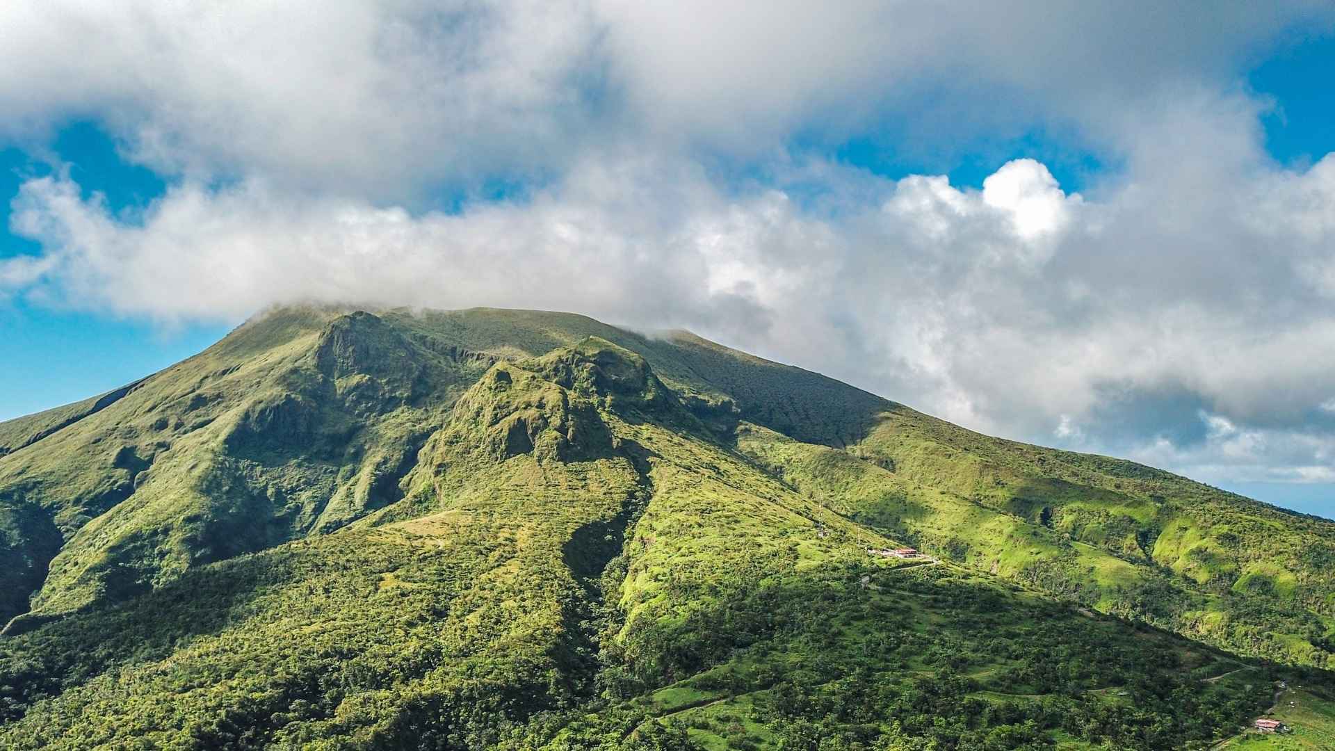 PCF-Nature-Forest-Air PCF-Nature-Forest-Air